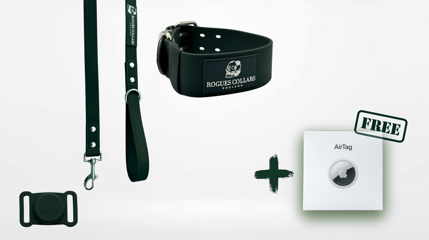 5cm Biothane Dog Collar & Lead Set - Everyday Pack Bundle + FREE Air Tag
