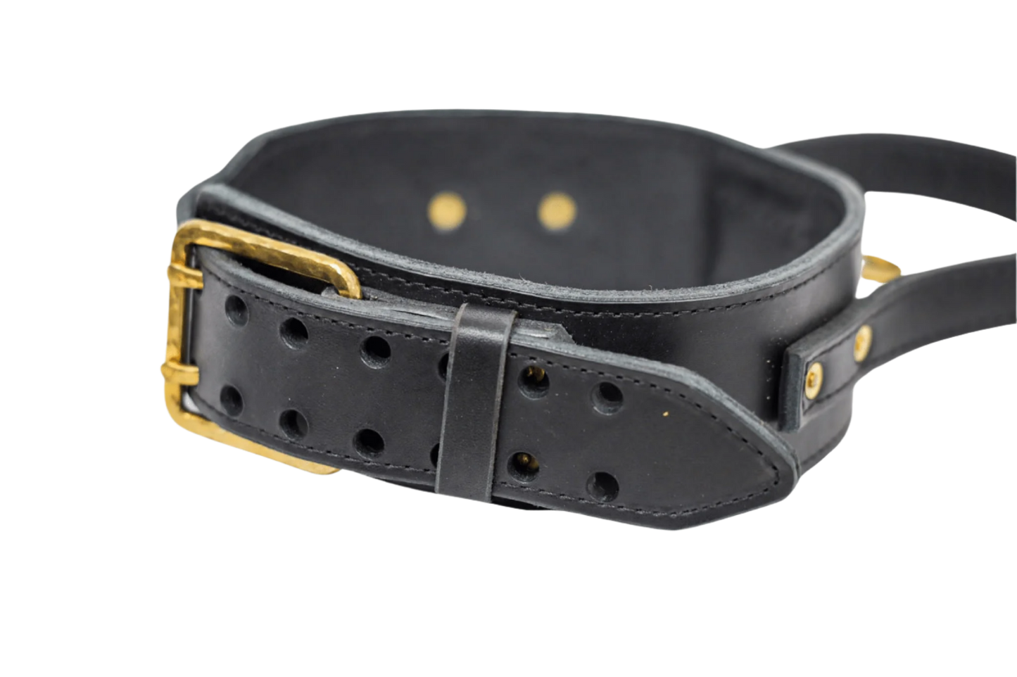Rogues Riot Collar - Black & Gold