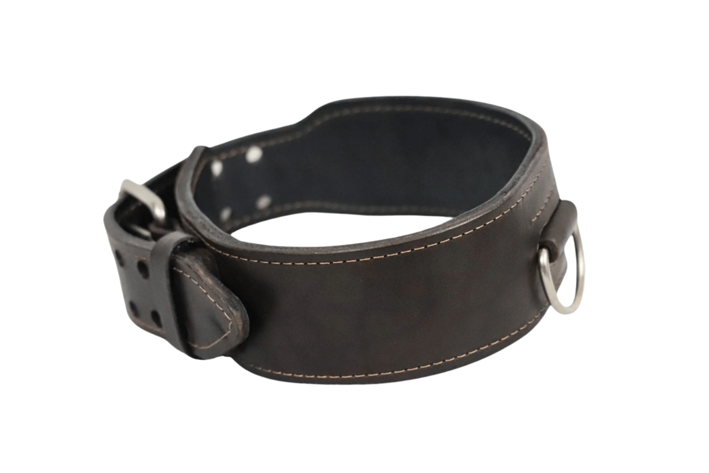 Rogues Country Collar - Brown & Silver