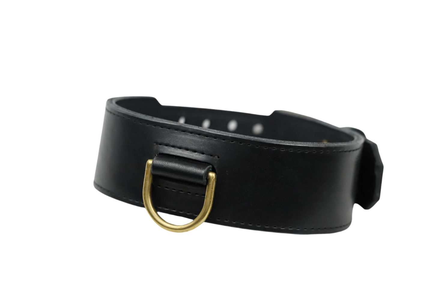 Rogues Country Collar - Black & Gold