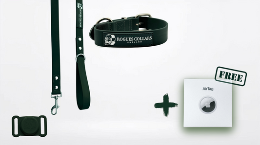 3cm Biothane Dog Collar & Lead Set - Everyday Pack Bundle + FREE Air Tag