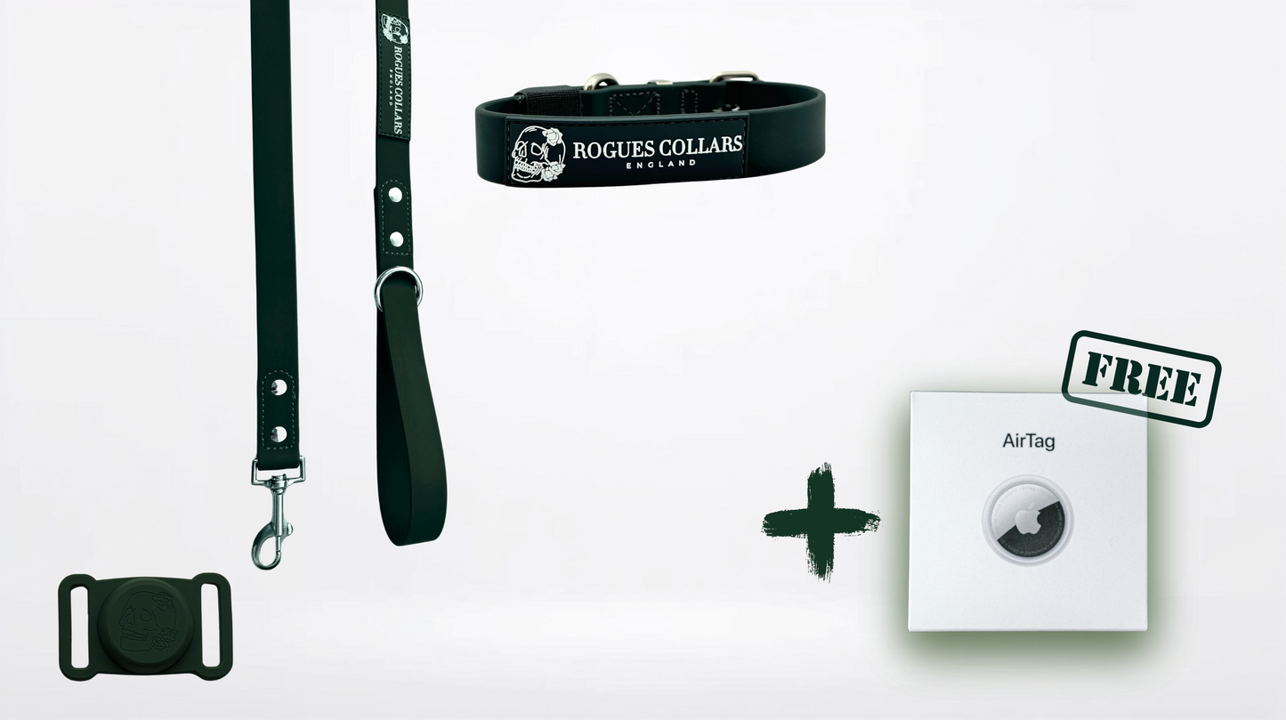 2.5cm Biothane Dog Collar & Lead Set - Everyday Pack Bundle + FREE Air Tag