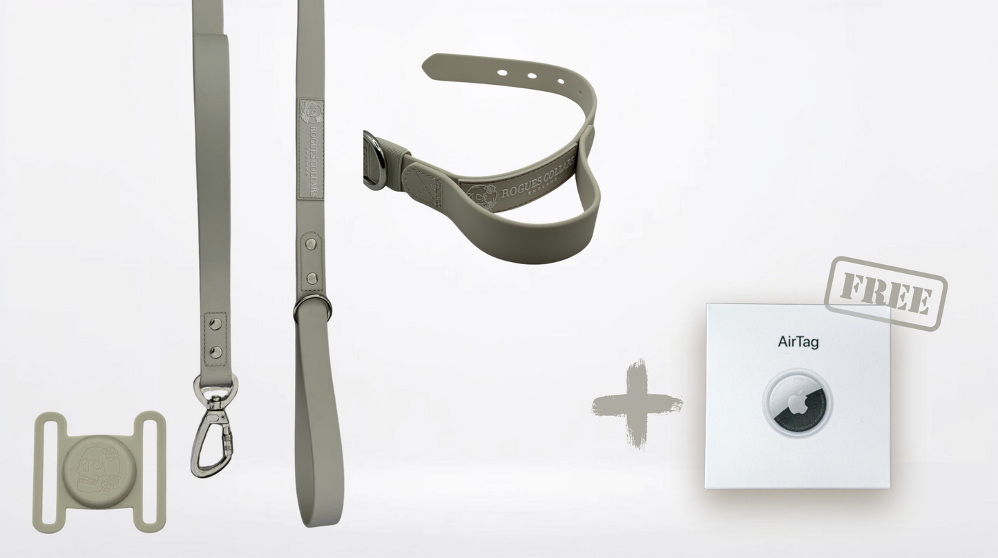 2.5cm Biothane Dog Collar & Lead Set - Ultimate Adventure Bundle + FREE Air Tag