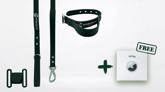 2.5cm Biothane Dog Collar & Lead Set - Ultimate Adventure Bundle + FREE Air Tag