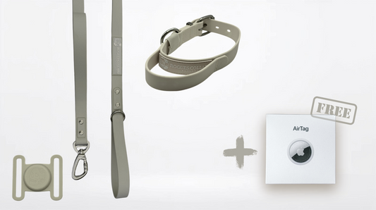 3cm Biothane Dog Collar & Lead Set - Ultimate Adventure Bundle + FREE Air Tag