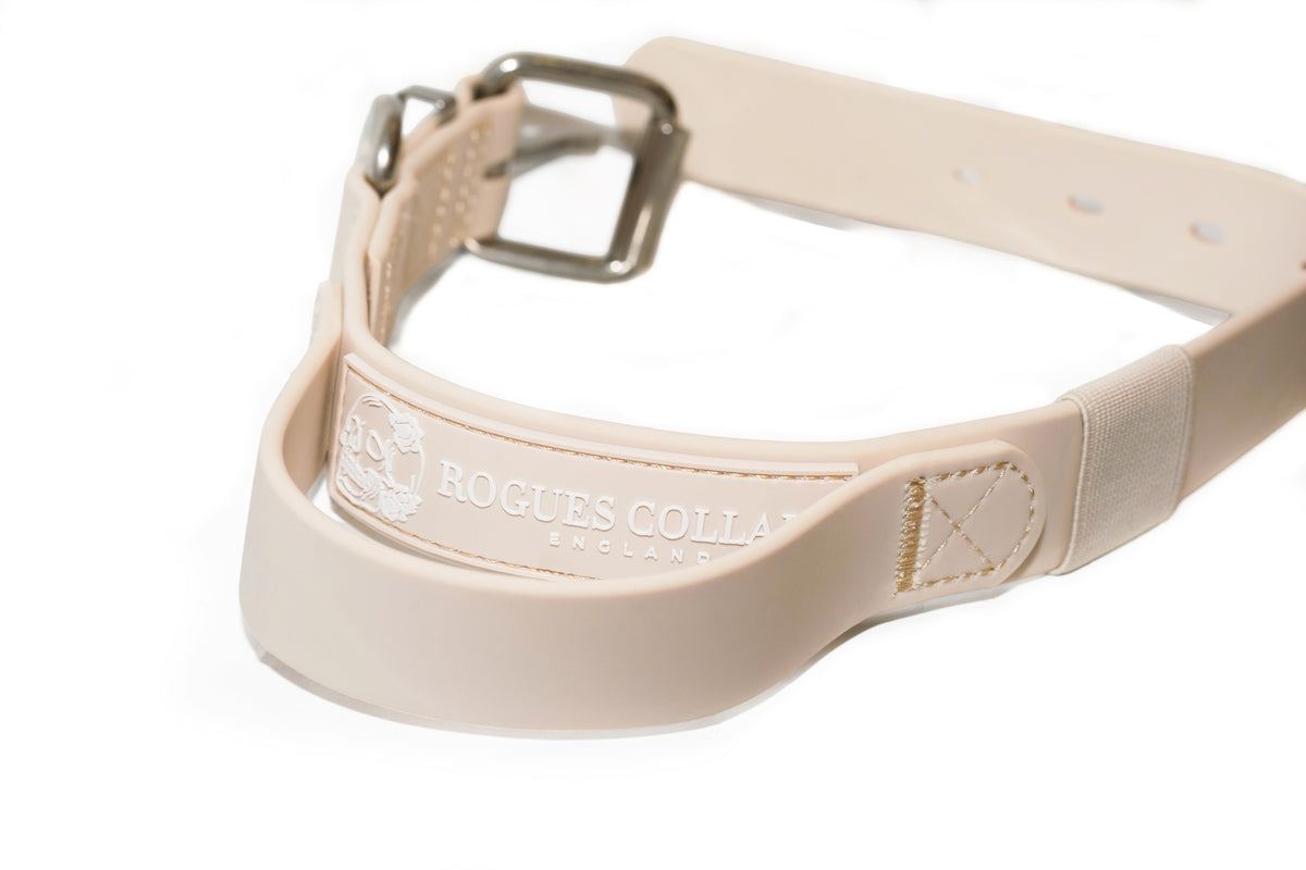 Forest Falls - 3cm Biothane Dog Collar with Handle