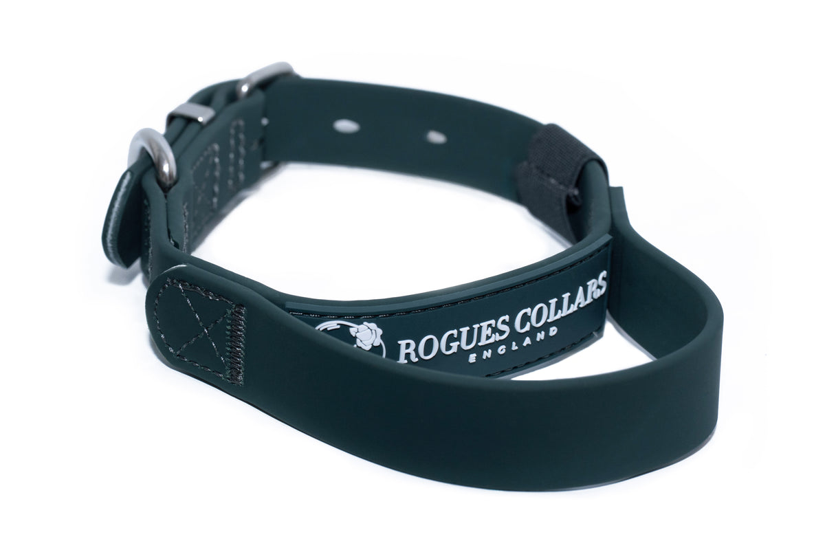 Forest Falls - 2.5cm Biothane Dog Collar with Handle