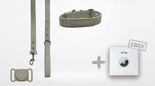 2.5cm Biothane Dog Collar & Lead Set - Everyday Pack Bundle + FREE Air Tag