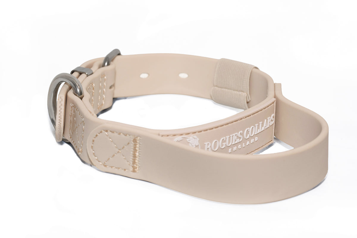 Forest Falls - 2.5cm Biothane Dog Collar with Handle