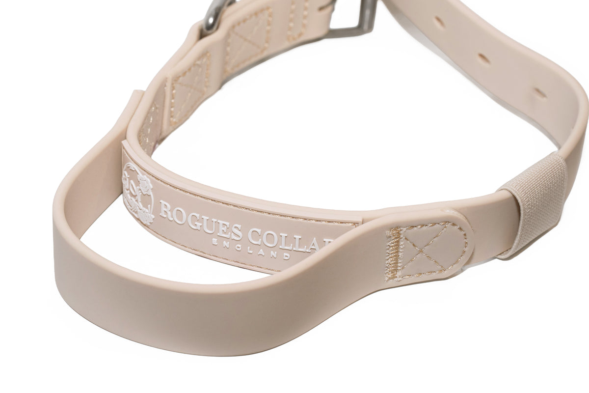 Forest Falls - 2.5cm Biothane Dog Collar with Handle