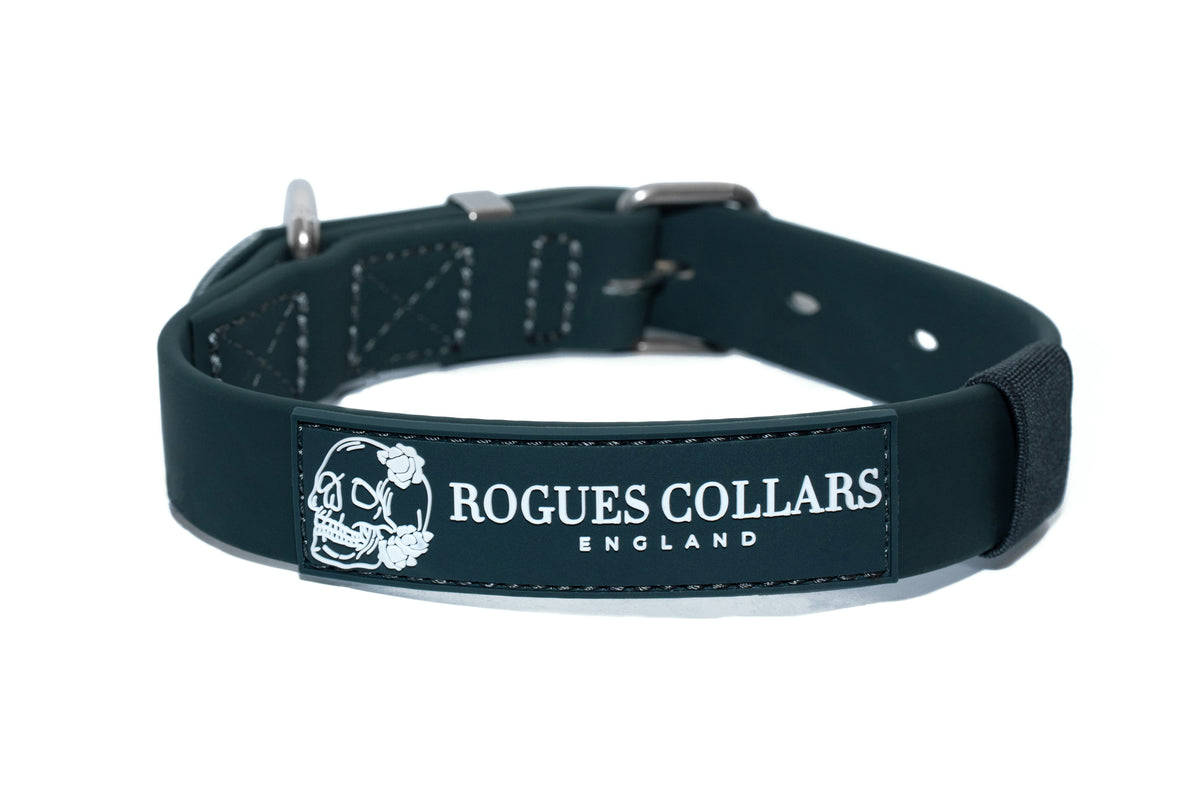 Forest Falls - 2.5cm Biothane Dog Collar