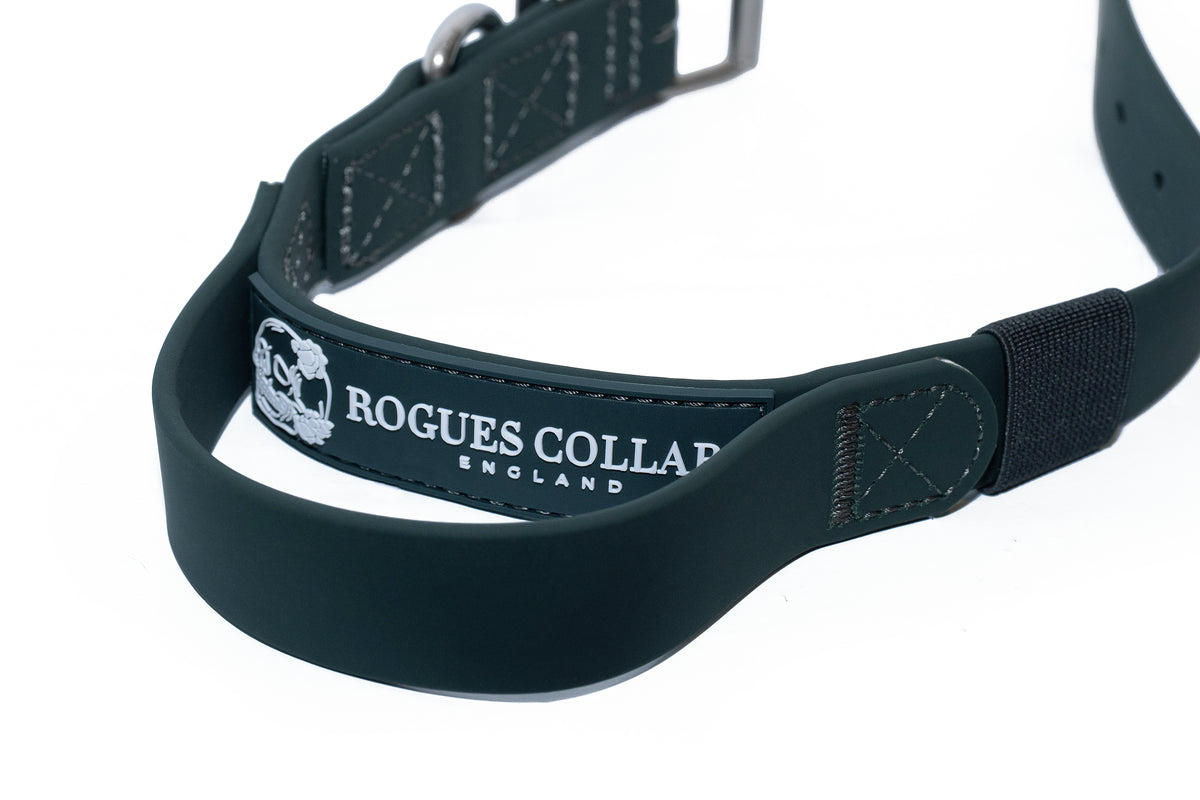 Forest Falls - 2.5cm Biothane Dog Collar with Handle