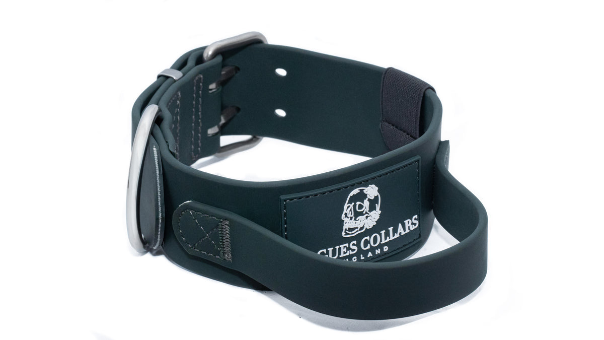 Forest Falls - 5cm Biothane Dog Collar with Handle