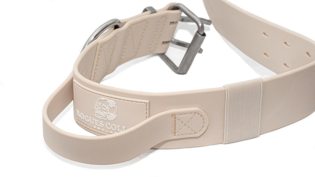 Forest Falls - 5cm Biothane Dog Collar with Handle