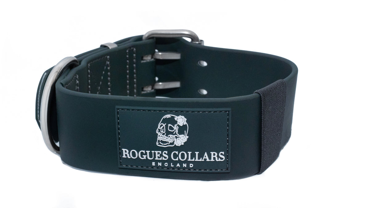 Forest Falls - 5cm Biothane Dog Collar