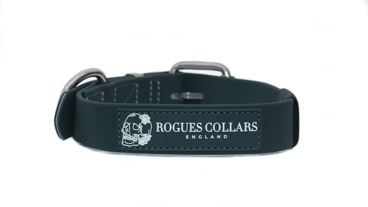 Forest Falls - 3cm Biothane Dog Collar