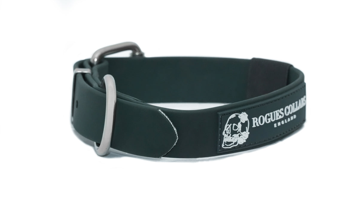 Forest Falls - 3cm Biothane Dog Collar
