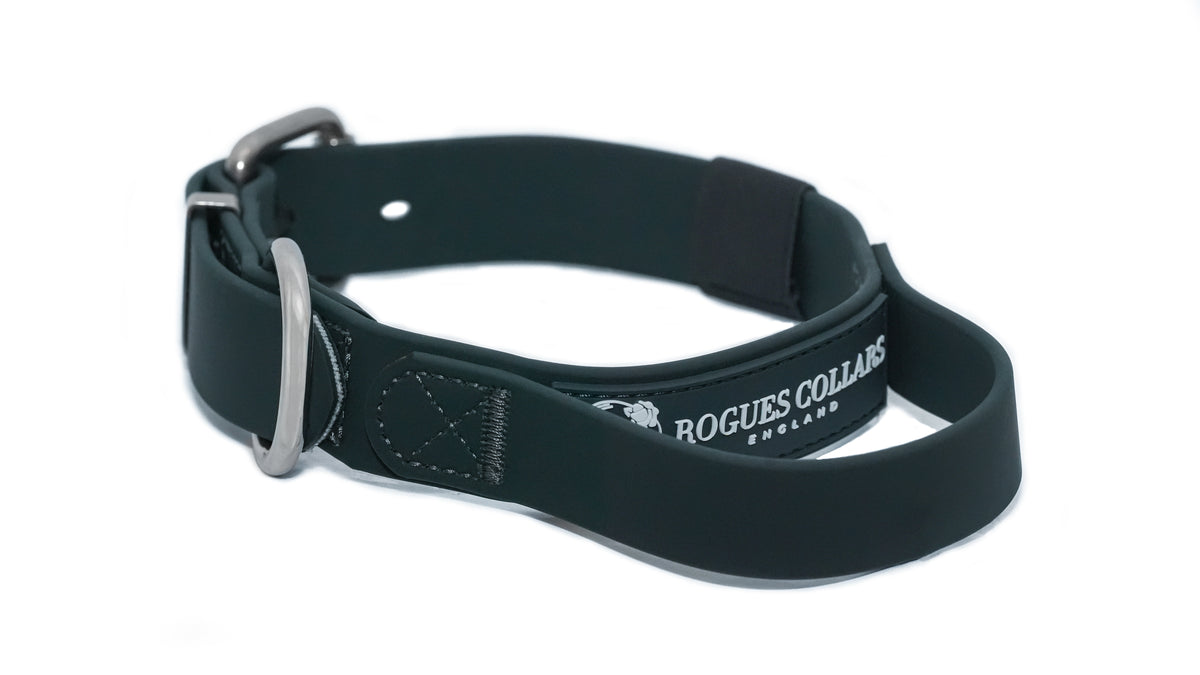 Forest Falls - 3cm Biothane Dog Collar with Handle
