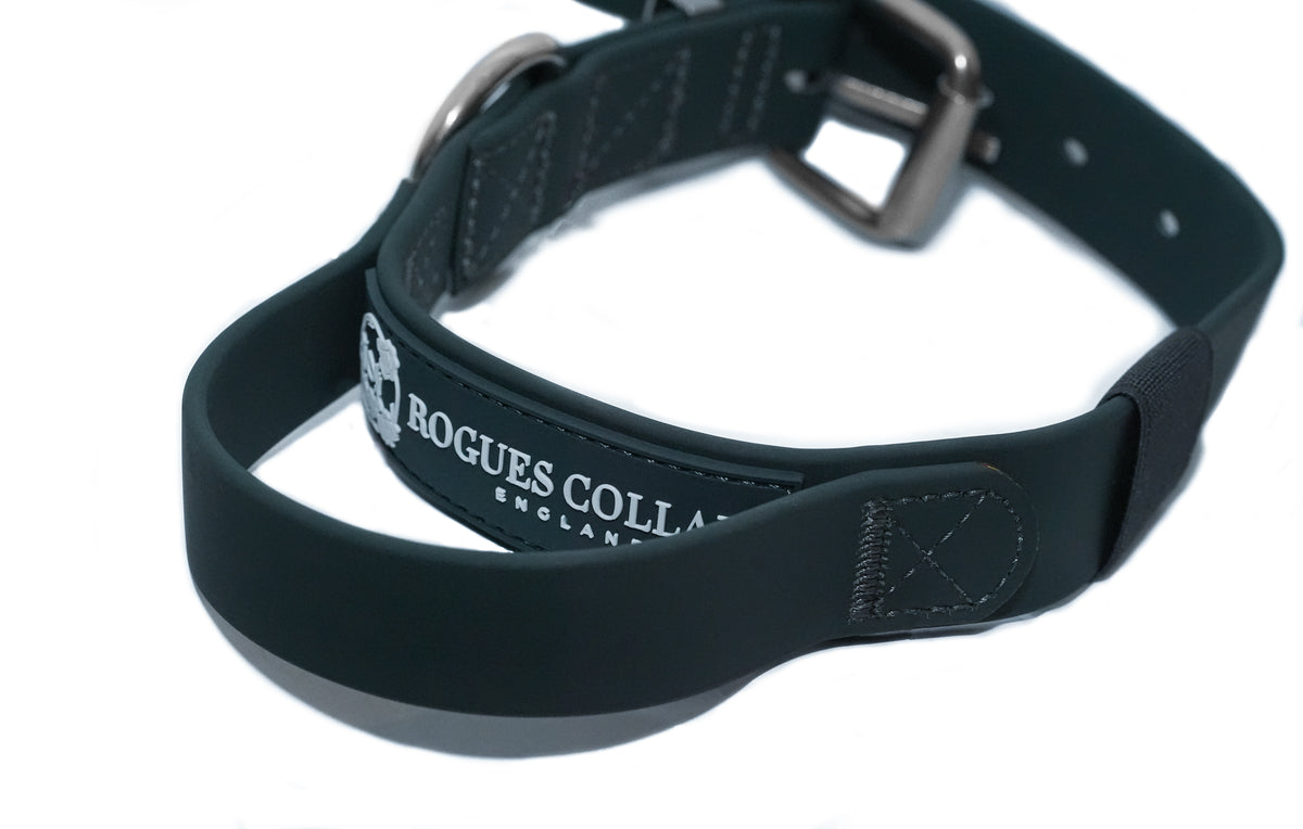 Forest Falls - 3cm Biothane Dog Collar with Handle