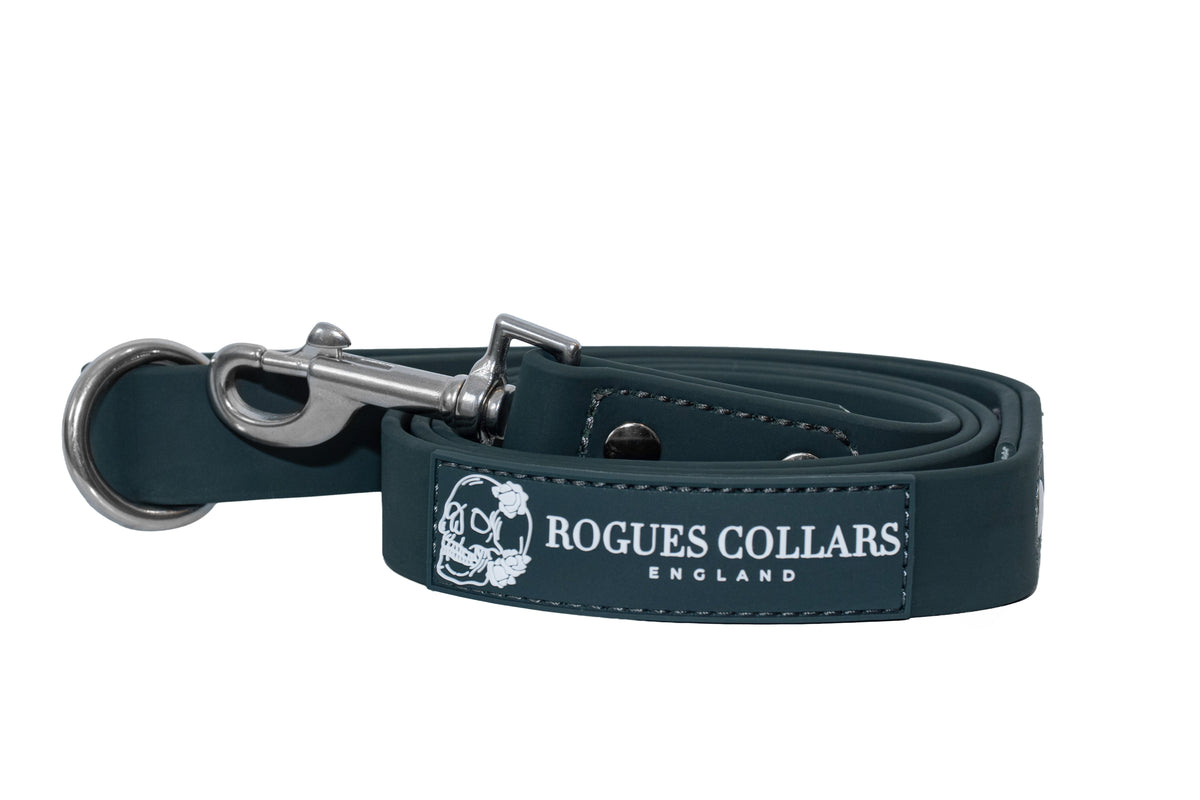 Forest Falls - Biothane Dog Lead
