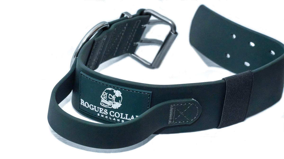 Forest Falls - 5cm Biothane Dog Collar with Handle