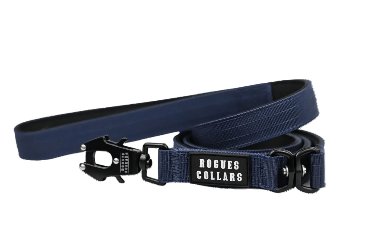 Tactical Lead - Navy