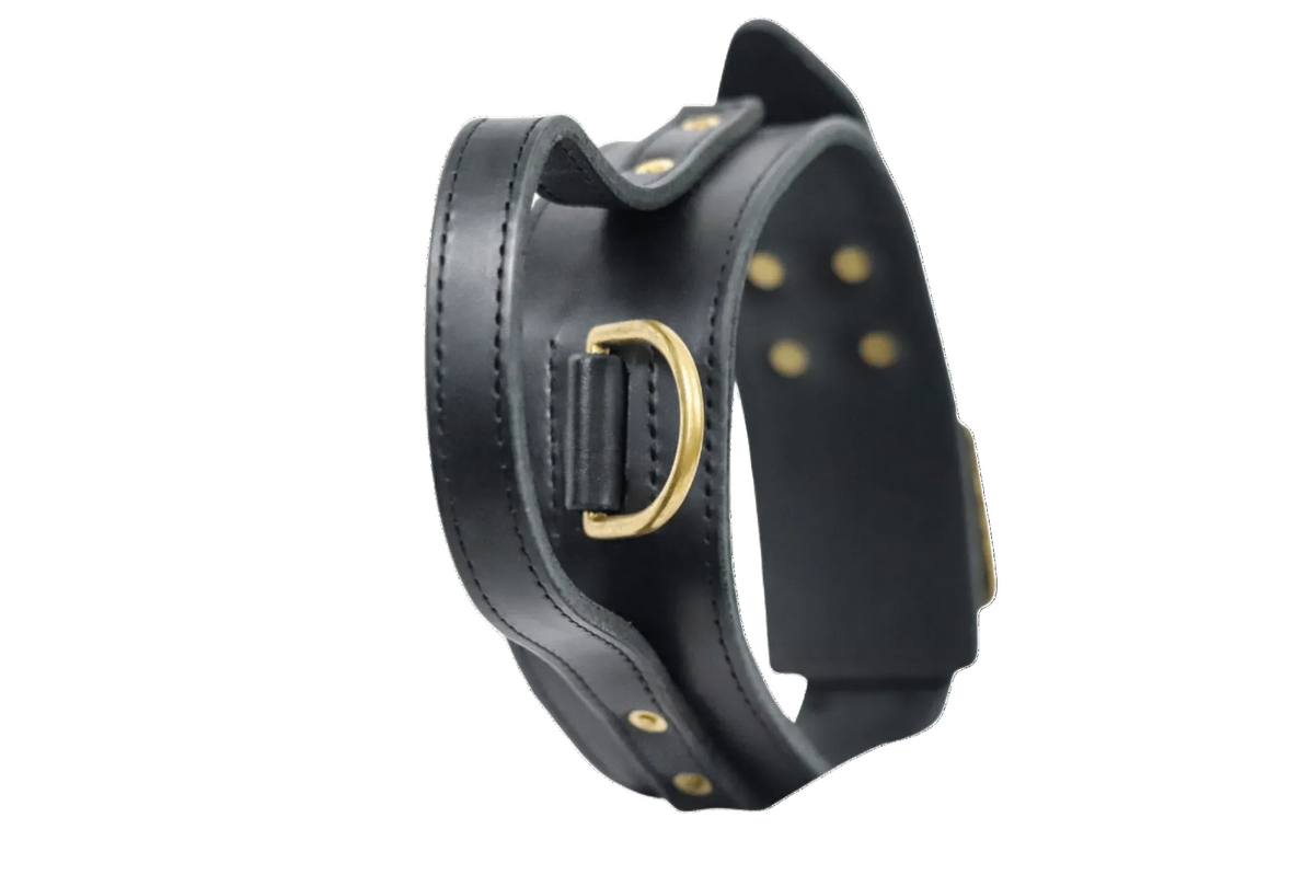 Rogues Riot Collar - Black & Gold