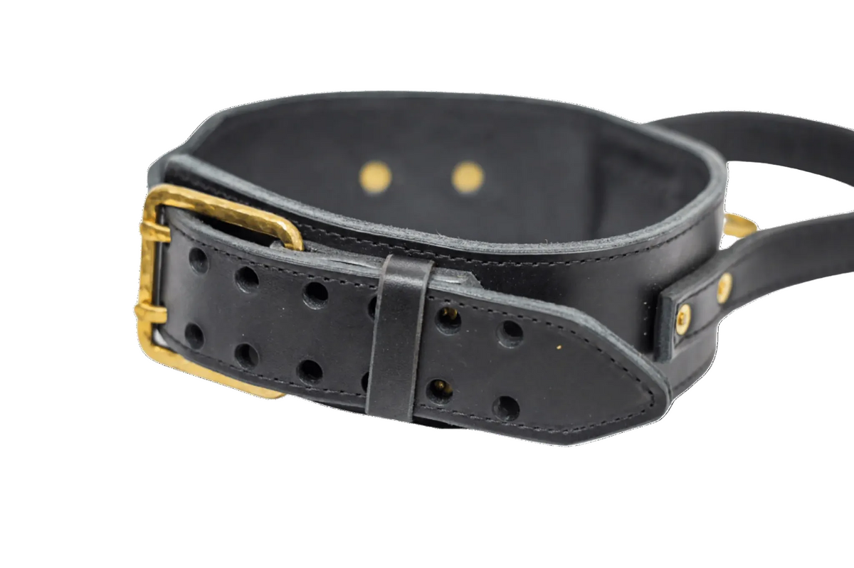 Rogues Riot Collar - Black & Gold