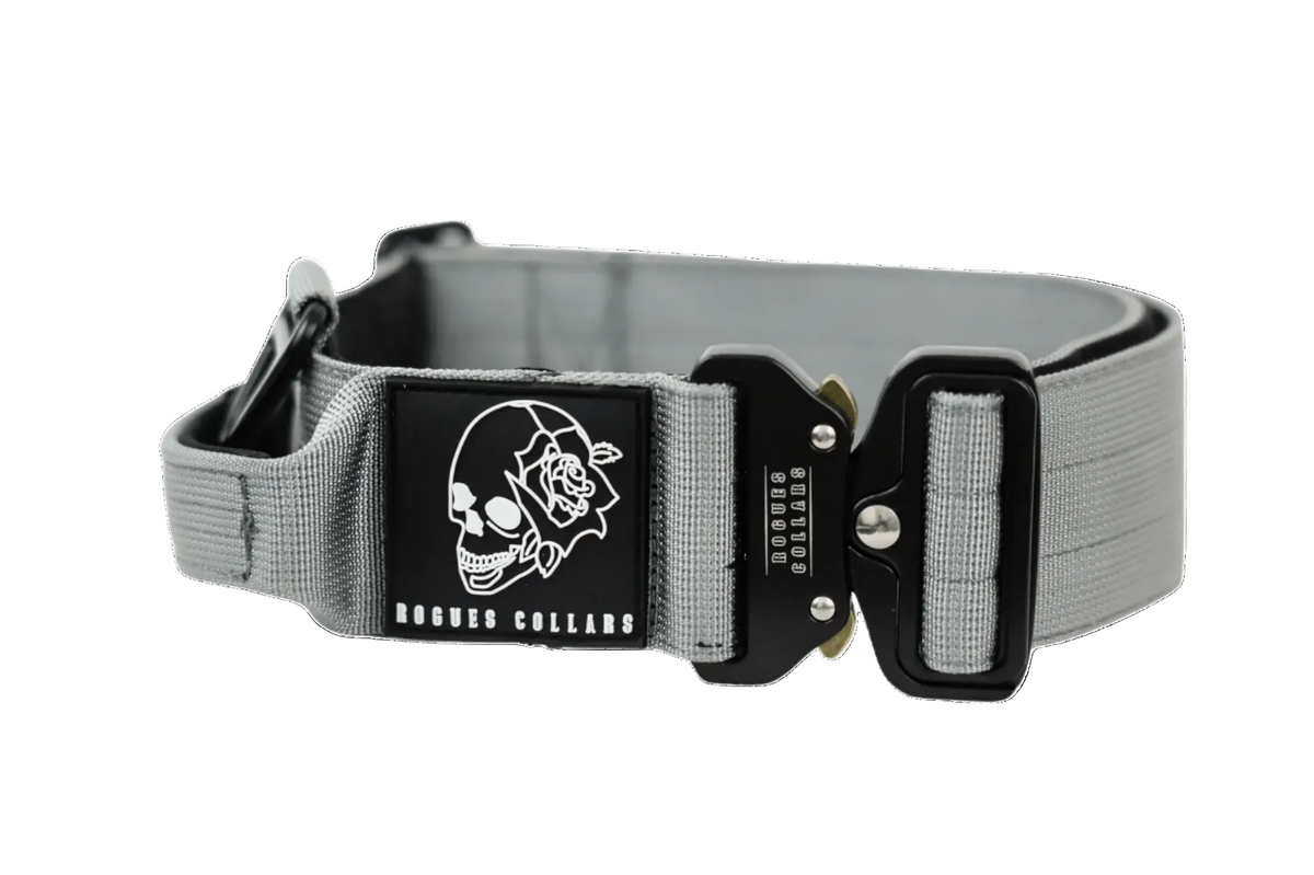 Tactical Collar - Grey