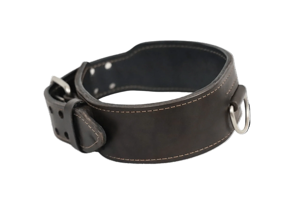 Rogues Country Collar - Brown & Silver