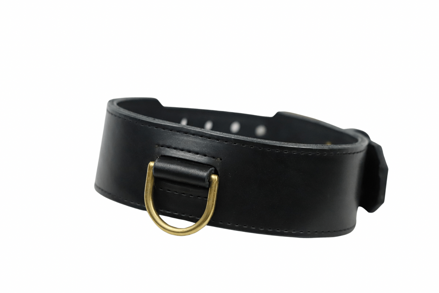 Rogues Country Collar - Black & Gold